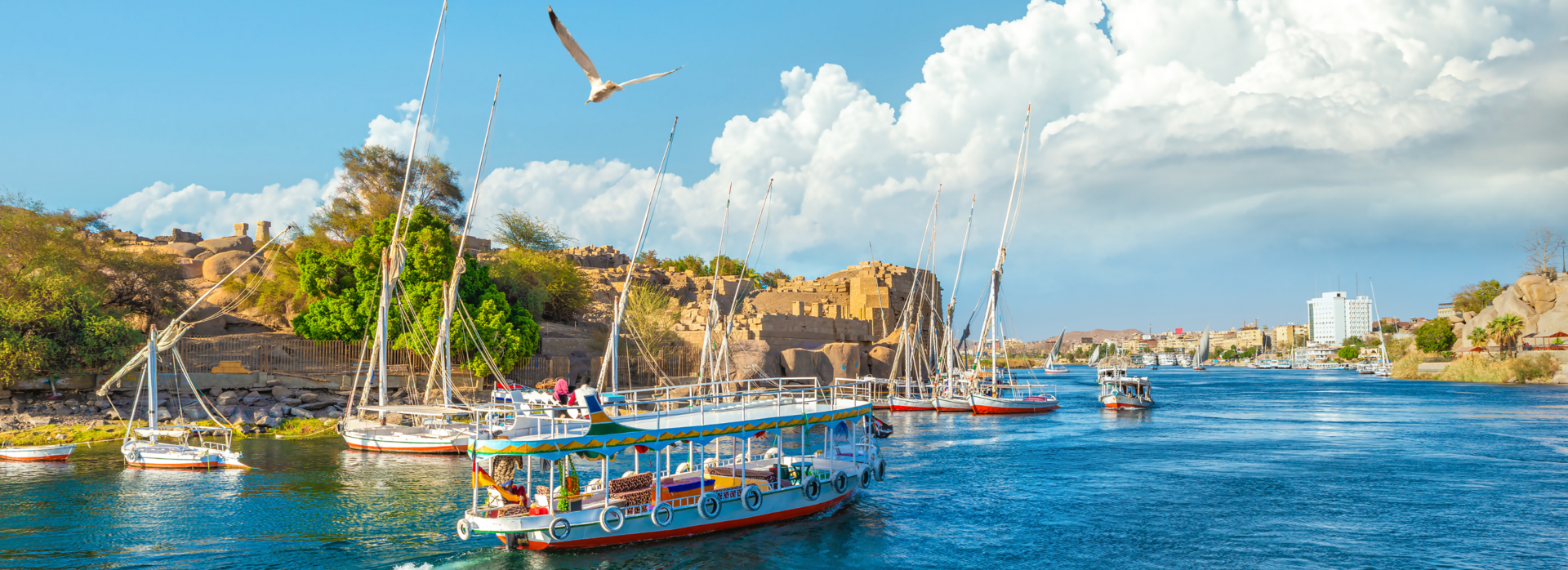 Fly Free with Wendy Wu Tours  banner